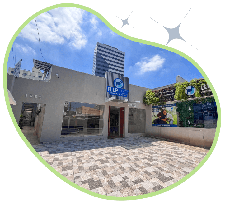 Cremação de Animais em São José dos Campos - SP